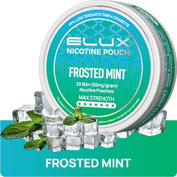 Elux Nicotine Pouches - Pack of 10 - Frosted Mint - Vapernest Wholesale